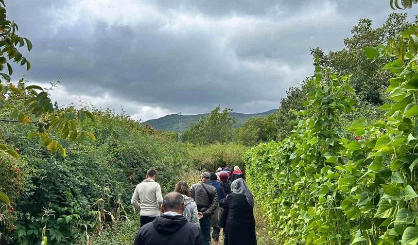 Eskişehirli kadın çiftçiler Kütahya'da üretim alanlarını inceledi
