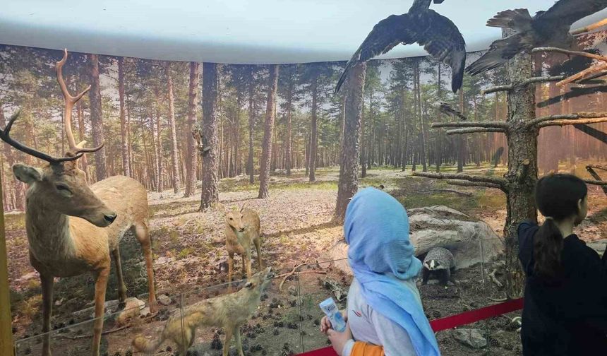 Kütahya Çamlıca Tabiat Parkı'nda öğrencilere doğa eğitimi