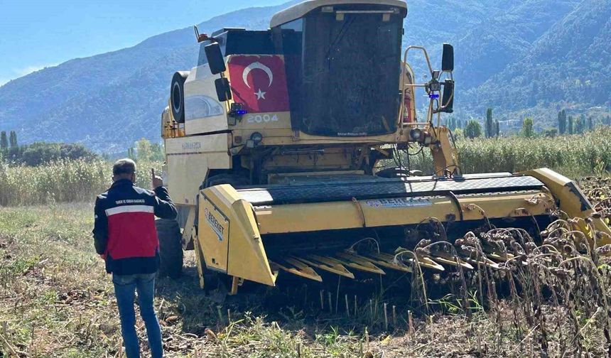 Simav'da Yüzde 75 hibeli ayçiçeğinde hasat kontrolü