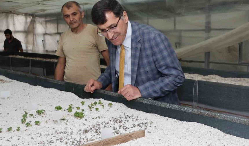 Başkan Eyüp Kahveci Tıbbi ve Aromatik Bitki Merkezini inceledi